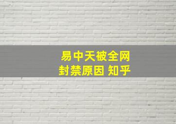 易中天被全网封禁原因 知乎